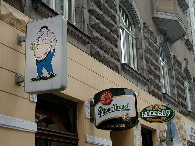 Чеська господа