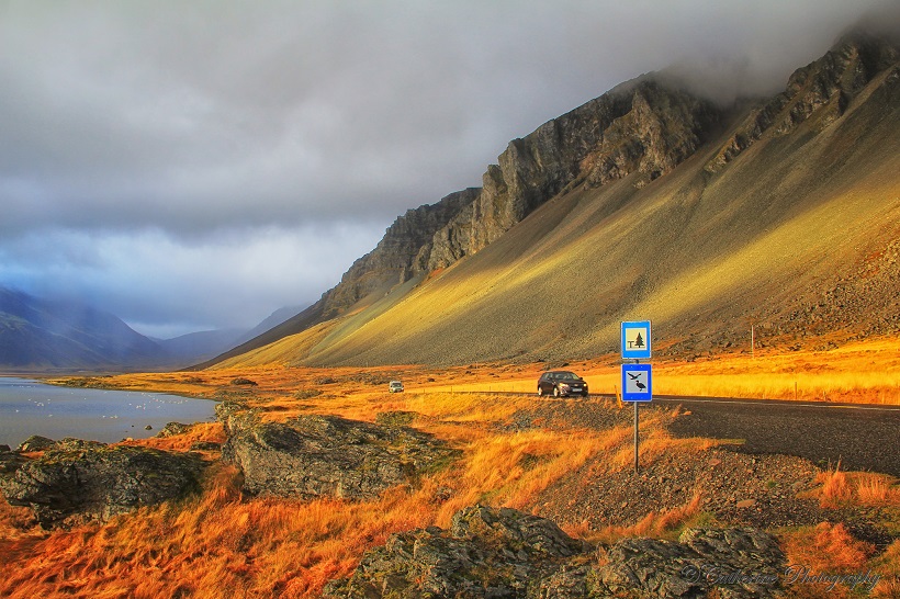 Наскільки надійні водії blablacar.com?